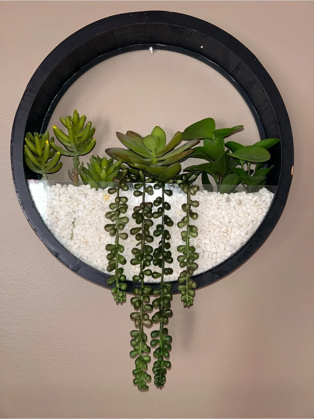 Black Circular Wall Planter with Green Succulents- wall decor- 13in WIDTH- 14inH